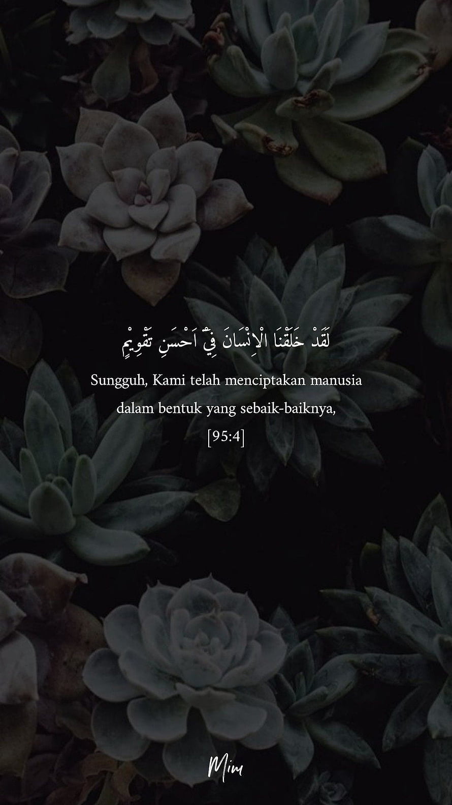 Dark Succulent Background with Quran Verse 95:4 in Arabic and Indonesian HD phone wallpaper
