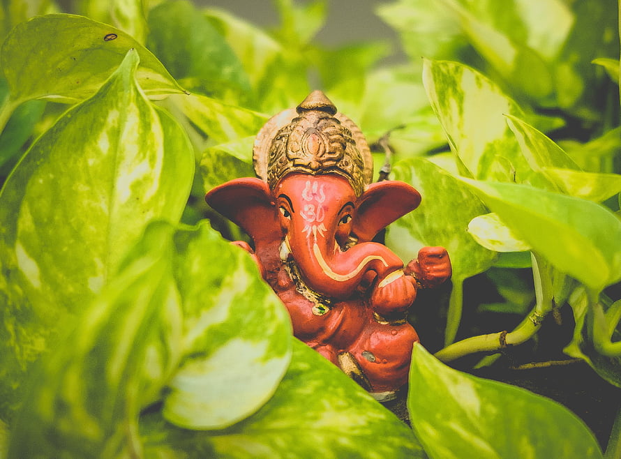Red Ganesha Idol Nestled Among Lush Green Variegated Leaves HD wallpaper