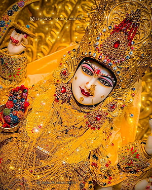 Goddess Durga adorned in golden jewelry and crown with red gemstones HD phone wallpaper