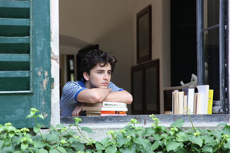 Timothee Chalamet in Call Me by Your Name leaning on a stack of books at a rustic window HD wallpaper