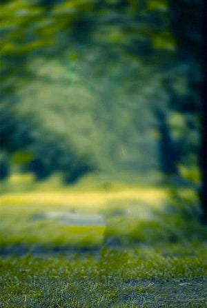Blurred Green Forest Path With Soft Focus Grass And Trees HD phone wallpaper