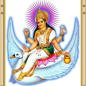 Goddess Saraswati Sitting on Swan with Veena and Books HD phone wallpaper