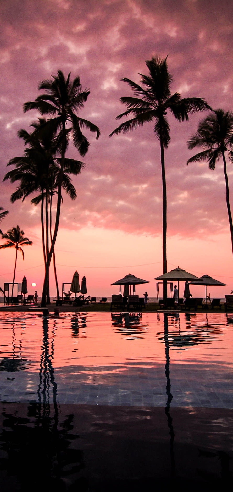 Tropical Sunset Over Infinity Pool With Silhouetted Palm Trees and Beach Cabanas HD phone wallpaper