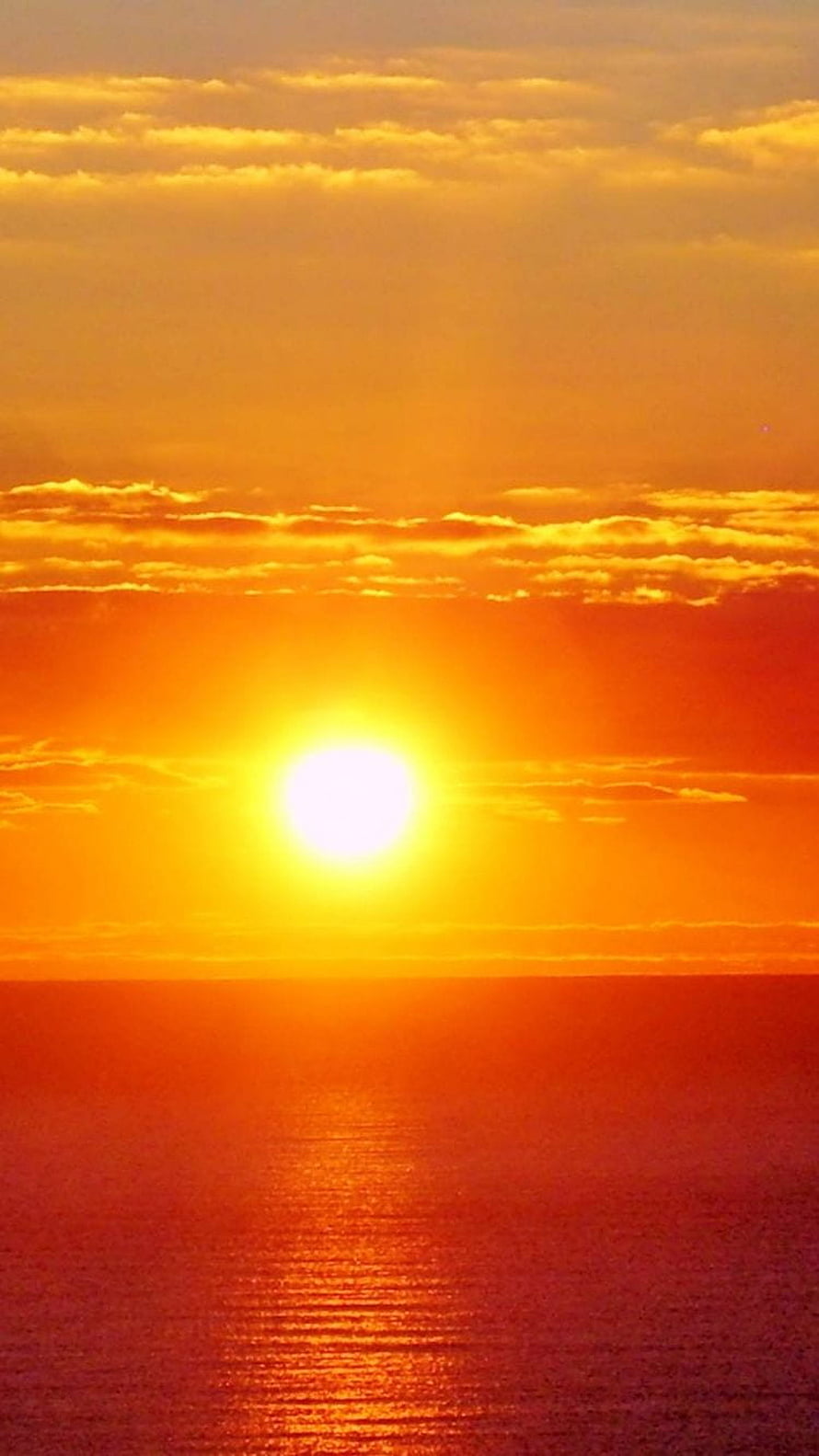 Vibrant Orange Sunrise Over the Ocean with Golden Sun Reflection on Calm Water HD phone wallpaper