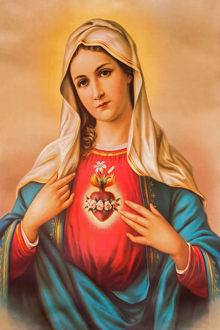 Immaculate Heart of Mary Religious Art with Sacred Heart Symbol and Lilies HD phone wallpaper