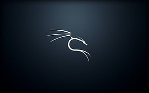 Minimalist White Dragon Silhouette on Dark Blue Background HD wallpaper