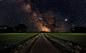 Milky Way Galaxy Rising Over a Dark Country Road at Night HD wallpaper