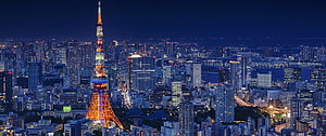 Tokyo Tower Illuminated Against the Night Sky Over the City Skyline HD wallpaper
