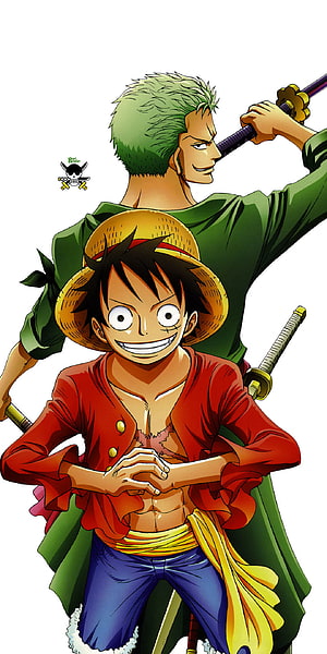 Monkey D. Luffy and Roronoa Zoro One Piece Anime Characters Illustration HD phone wallpaper