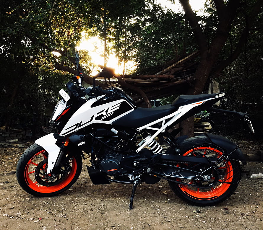 KTM Duke 200 Motorcycle with Orange Rims Parked in Forest HD wallpaper