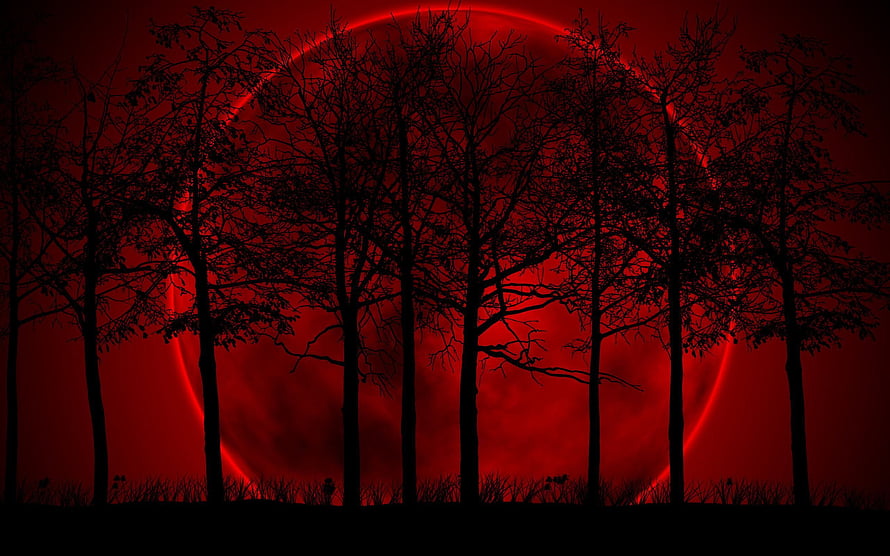 Eerie Blood Moon Rising Over Silhouetted Trees in a Dark Red Night Sky HD wallpaper