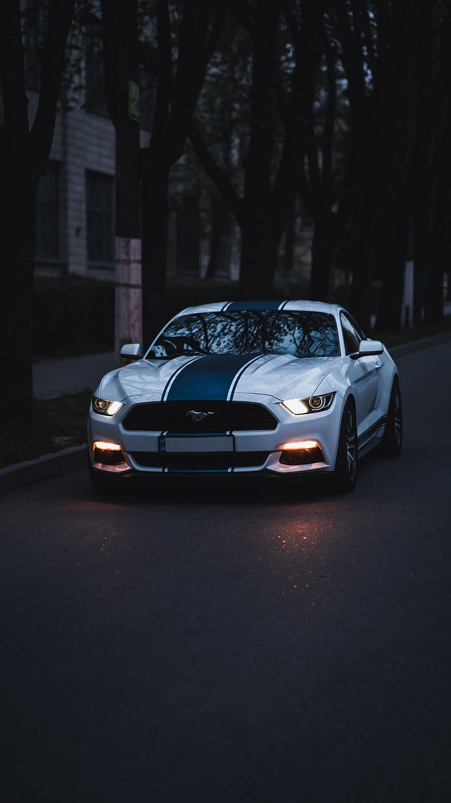 White Ford Mustang GT with Blue Racing Stripes on a Dark Road at Night HD phone wallpaper