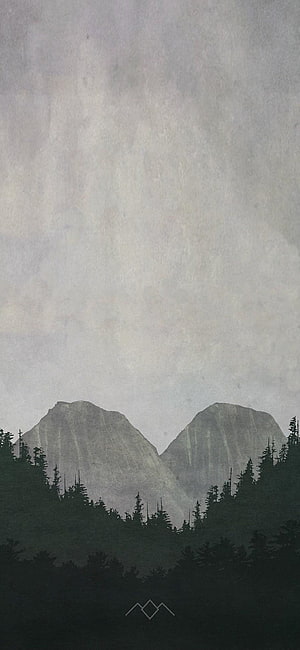 Twin Peaks Mountain Landscape with Dark Pine Forest Silhouette and Misty Sky HD phone wallpaper