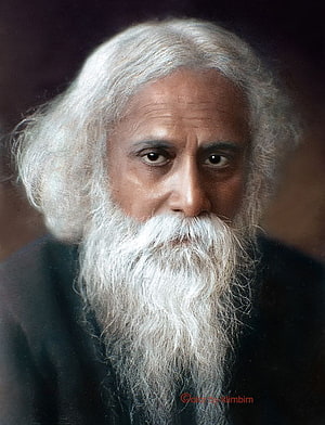 Portrait of Rabindranath Tagore with long white beard and hair HD phone wallpaper