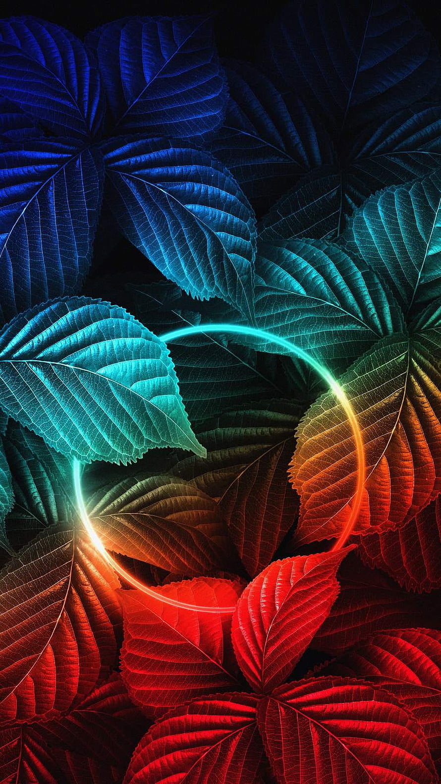 Vibrant Neon Leaves With Glowing Light Trail Abstract Nature Wallpaper HD phone wallpaper