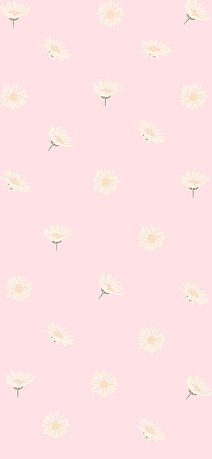 Soft Pink Daisy Floral Pattern Wallpaper HD phone wallpaper