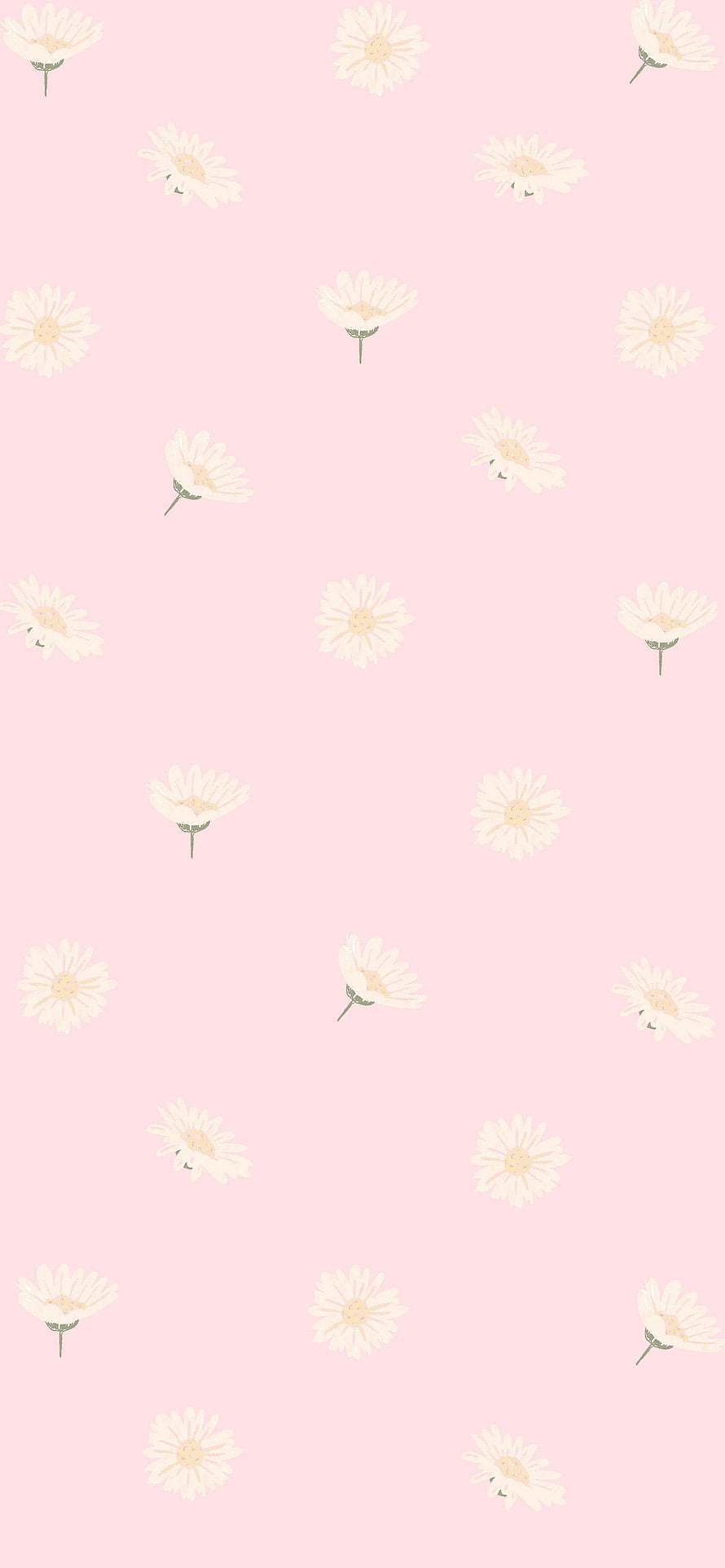 Soft Pink Daisy Floral Pattern Wallpaper HD phone wallpaper