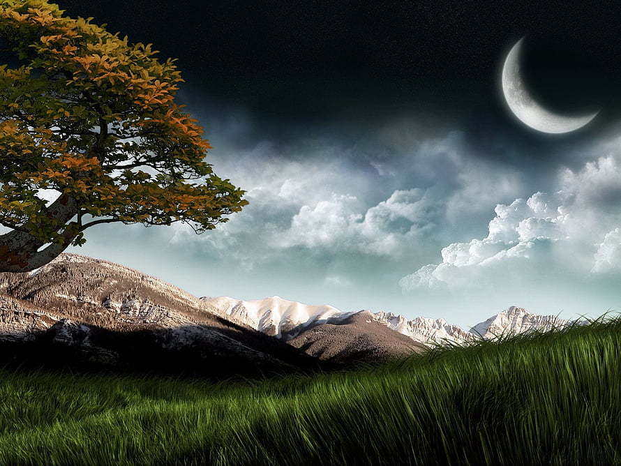 Serene Night Landscape With Crescent Moon, Snowy Mountains, and Autumn Tree HD wallpaper