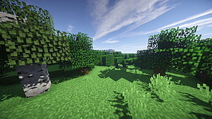 Minecraft Birch Forest Landscape with Lush Green Grass and Blue Sky HD wallpaper