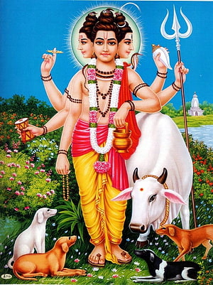 Lord Dattatreya with Three Heads and Four Arms Standing with Sacred Bull and Dogs HD phone wallpaper