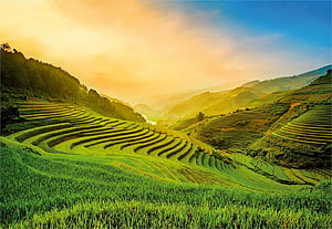 Golden Hour Terraced Rice Fields in a Mountain Valley HD wallpaper