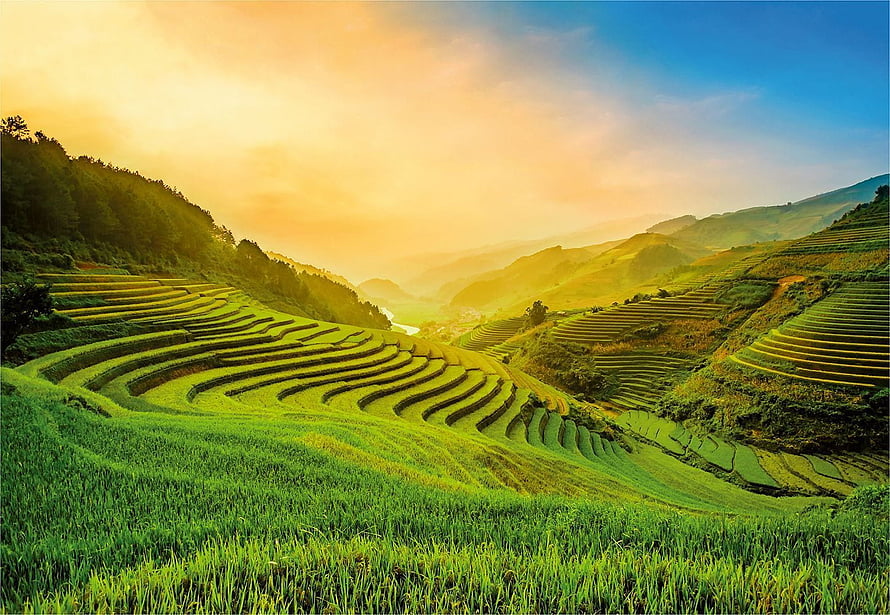 Golden Hour Terraced Rice Fields in a Mountain Valley HD wallpaper