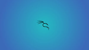 Minimalist Black Dragon Silhouette on Blue Gradient Background HD wallpaper