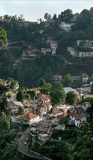 Hillside town with winding roads and lush greenery HD phone wallpaper