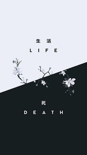 Minimalist Life and Death Concept with Cherry Blossoms HD phone wallpaper