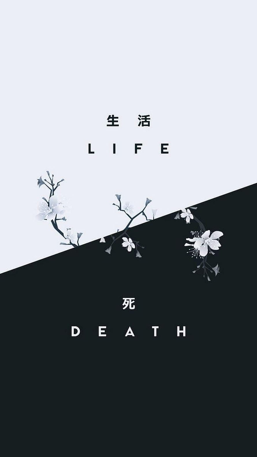 Minimalist Life and Death Concept with Cherry Blossoms HD phone wallpaper