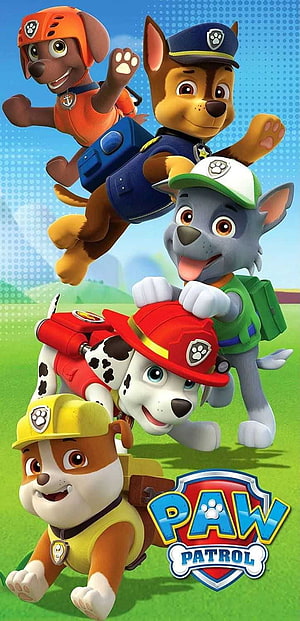 Paw Patrol Team of Five Puppies in Action on a Sunny Green Field HD phone wallpaper