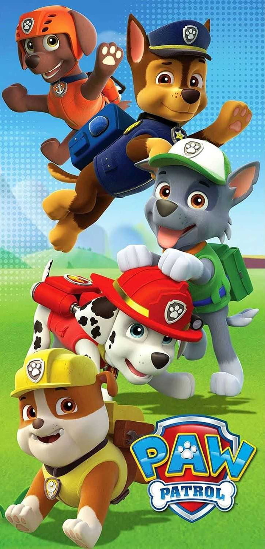 Paw Patrol Team of Five Puppies in Action on a Sunny Green Field HD phone wallpaper
