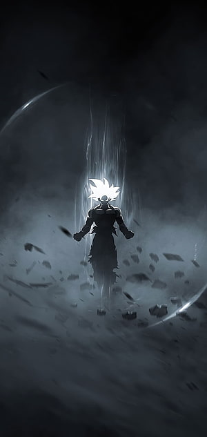 Goku Ultra Instinct Sign Anime Wallpaper Dark Silhouette HD phone wallpaper