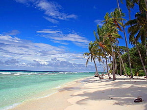 Tropical Beach With White Sand, Turquoise Water, and Leaning Palm Trees Under a Blue Sky HD wallpaper