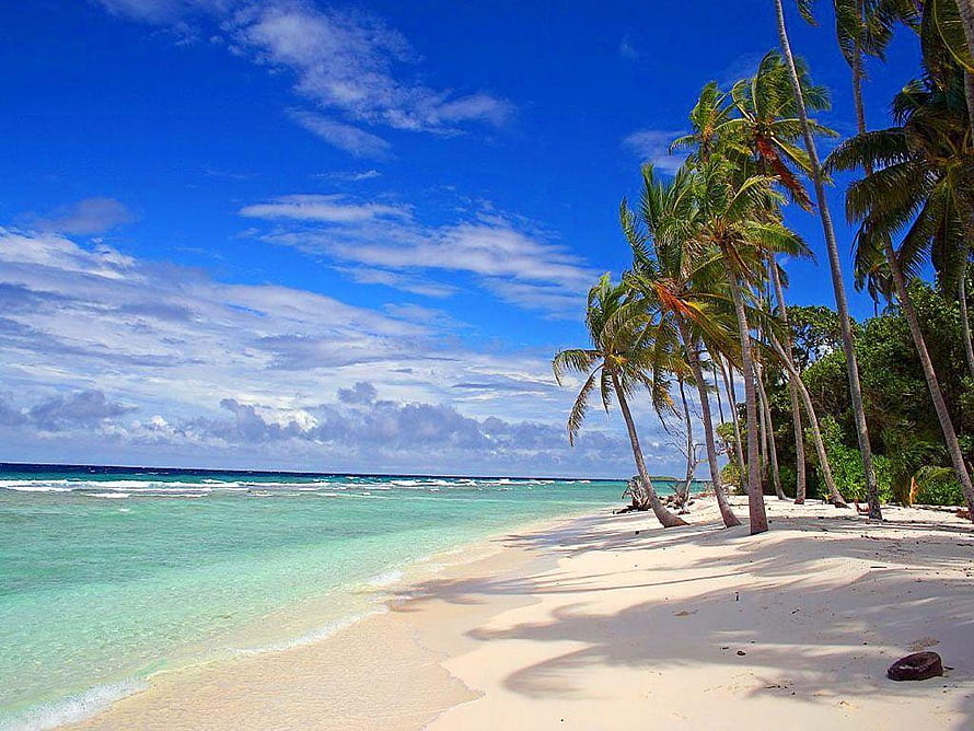 Tropical Beach With White Sand, Turquoise Water, and Leaning Palm Trees Under a Blue Sky HD wallpaper