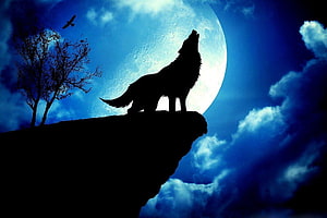 Silhouetted Wolf Howling at a Full Moon on a Rocky Cliff Under a Dramatic Night Sky HD wallpaper