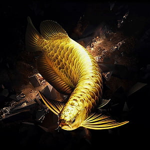 Golden Arowana Fish Swimming Over Dark Shattered Rocks and Glowing Embers HD phone wallpaper