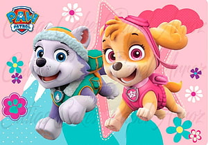 Paw Patrol Skye and Everest Flying Together in Colorful Cartoon Illustration HD wallpaper