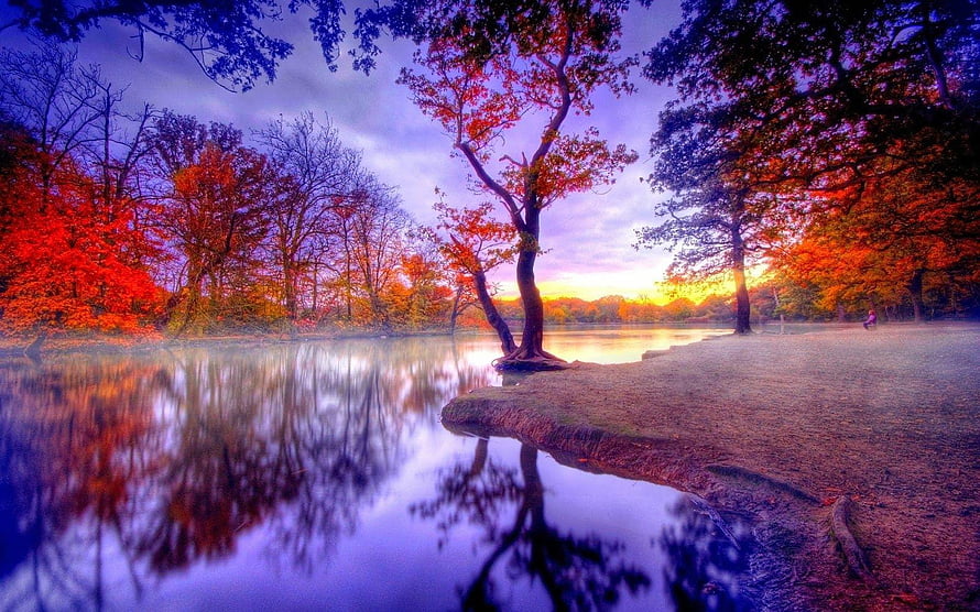 Serene Autumn Lake at Sunset with Vibrant Red and Orange Trees HD wallpaper