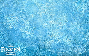 Frozen Movie Frosty Snowflake Ice Texture Background HD wallpaper