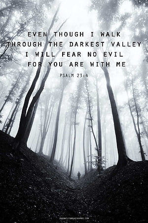 Psalm 23:4 Bible Verse Over a Misty Forest Path with a Lone Walker HD phone wallpaper