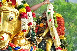 Kallalagar Temple Madurai: Golden Horse and Deity Adorned in Vibrant Flower Garlands HD wallpaper