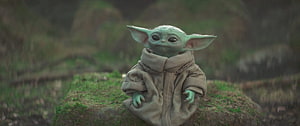 Baby Yoda from The Mandalorian sitting on a mossy rock in a forest, Grogu in 'The Mandalorian', grogu baby yoda HD wallpaper