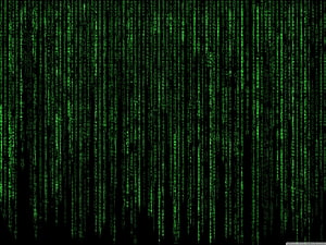 The Matrix Digital Rain Green Code Rainfall on Black Background HD wallpaper
