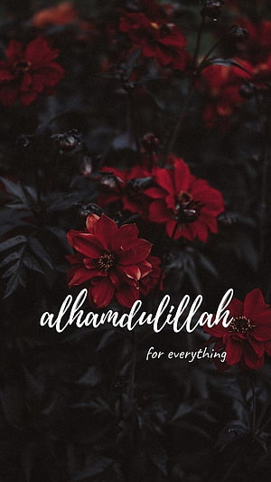 Alhamdulillah for Everything Islamic Quote on Dark Red Floral Background HD phone wallpaper