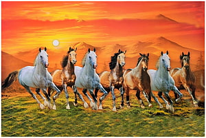 Seven Horses Galloping Across a Meadow at Sunset with Mountain Range HD wallpaper