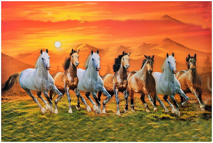 Seven Horses Galloping Across a Meadow at Sunset with Mountain Range HD wallpaper