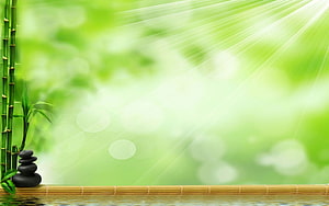 Zen Garden Bamboo Stalks And Balanced Stones With Sunlight Rays HD wallpaper