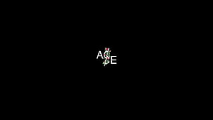 Minimalist ACE Logo with Floral Rose Design on Black Background HD wallpaper
