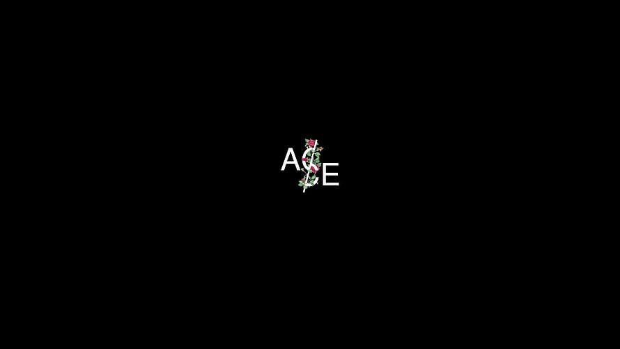Minimalist ACE Logo with Floral Rose Design on Black Background HD wallpaper